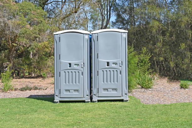 Types of Portable Toilets We Offer in Lyons, IL